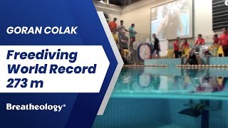 Goran Colak  Freediving World Record 273 m [upl. by Dranyam540]