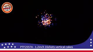 PTF2557A 12inch 16shots vertical cakes 2025 NEW [upl. by Wessling]