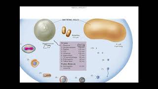 Virology lecture one [upl. by Coop]