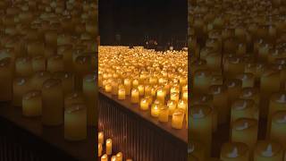 Candlelight concert ytshorts 80smusic trending ashortaday candlelightconcert lights love me [upl. by Nnaynaffit637]