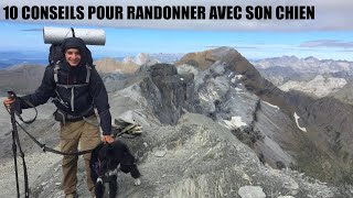 10 CONSEILS POUR RANDONNER AVEC SON CHIEN  CANIRANDO [upl. by Annaig]