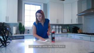 Safelite AutoGlass Professional Glass Cleaner [upl. by Backer]