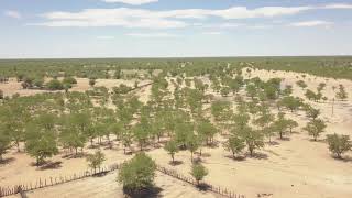 Ovambo Tribe Omphakoya Oufa Village north Namibia by Drone [upl. by Leddy]