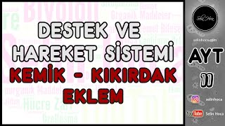 13 Destek ve Hareket Sistemi Kemik  Kıkırdak  Eklem [upl. by Leagiba]