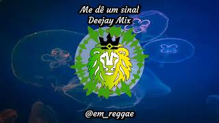 Me dê um sinal Deejay Mix [upl. by Nonek]