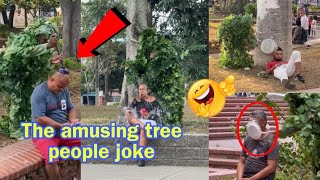 The amusing tree people joke 🌳🤣 Latest pranks of 2024 [upl. by Nojel]