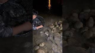 Dumagsa nanaman mga isda sa ilog na to makakamangha talaga fishing [upl. by Siraval]