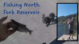 North Fork Reservoir Trout Fishing  Dock Fishing  Estacada Oregon  Family and a French Bulldog [upl. by Justine781]