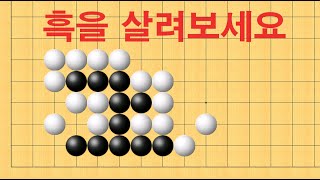 바둑 묘수 사활  정말 세상에 이런 수가 있나요 흑을 살려보세요 [upl. by Sirref]