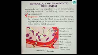 Phagocytosis diapedesis chemotaxis opsonisation for full details subscribe The Academia [upl. by Eibba]