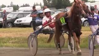 Horse accident  Kauhajoen raveissa sattuu ja tapahtuu [upl. by Noled]