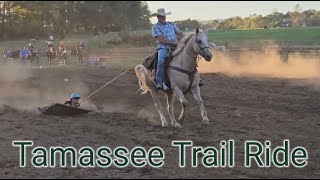 Tamassee Trail Ride [upl. by Latonia]