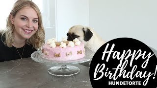 Hundekuchen  Geburtstagstorte für den Hund selber backen  Rezept  Hundekanal deutsch [upl. by Miof Mela]