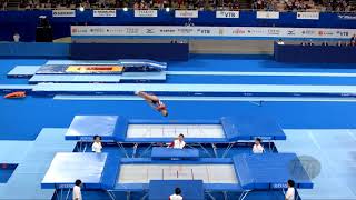 SATAKE Reina JPN W  2019 Trampoline Worlds Tokyo JPN  Qualification Trampoline R2 [upl. by Eciruam726]