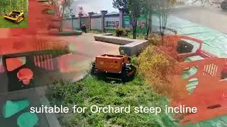 600mm cutting width cutting height 118 cm adjustable remote control tracked robot mower [upl. by Itnahsa857]