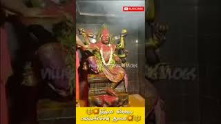 🔱💥Thirusulam pidaari vekkaliyammanukku abishegam alangaram💥🔱villagesurpriseingvlogsshortsfeedyts [upl. by Mahda]