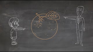 Integrative vs Distributive Negotiation  The Orange Juice Story Doodle Video [upl. by Perren]