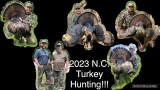 TURKEY HUNTING in North Carolina 2023 TURKEY Season [upl. by Acinomad]