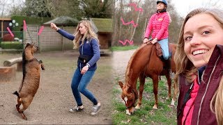 Feline rijdt mijn paarden en vrijheidsdressuur met GEIT en KIP  Weekvlog 161 [upl. by Sualk436]