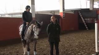 Lezioni Equitazione  Salto ostacoli tecnica equestre  Cavallo 4 anni i primi salti al galoppo [upl. by Ardnauq]