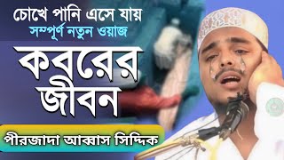 কবরের জীবন কতইনা ভয়ানক  আব্বাস সিদ্দিকী ভাইজান  pirzada Abbas Siddiqui waz 2024 [upl. by Anaitak]