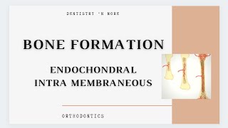 BONE FORMATIONINTRA MEMBRANOUS ampENDOCHONDRAL [upl. by Eilsew856]