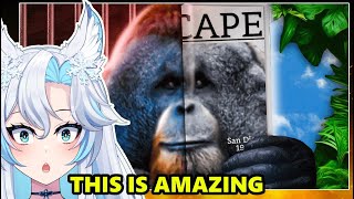 The Ultimate Escape Artist The Ape That Couldnt Be Contained  Joeseppi React [upl. by Eugnimod]