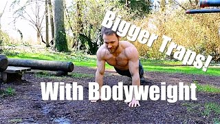 Bodyweight Traps Workout  Beginner [upl. by Dracir84]