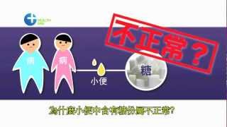 認識糖尿病 Diabetes Mellitis [upl. by Catherina]