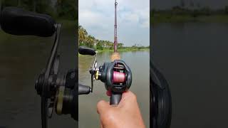 Curado K 2017 201Hg pe15 fishing shimano baitcasting [upl. by Quincey491]