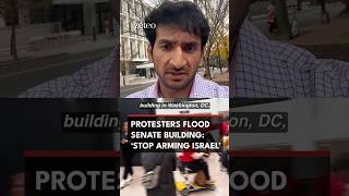 Protesters Flood Senate Building Stop Arming Israel [upl. by Flann160]