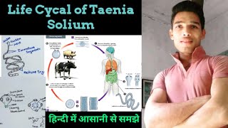 Life Cycle of Taenia solium [upl. by Cleve234]