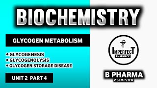 Glycogen Metabolism Pathway  Glycogenesis  Glycogenolysis  Glycogen Storage Disease  B Pharma [upl. by Anaeg]