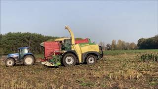 Loonbedrijf Braspenning sorghum hakselen met hun Krone Big X 630 [upl. by Jordans778]