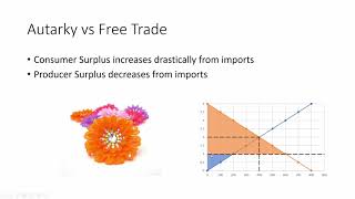 Autarky vs Free Trade [upl. by Yael]