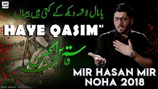 Nohay 2018  Haye Qasim ع  Mir Hasan Mir New Noha 201819  Noha Mola Qasim  Nohay 2019 [upl. by Earized]