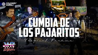 Tropical Panama  Cumbia De Los Pajaritos En Vivo [upl. by Liagaba]