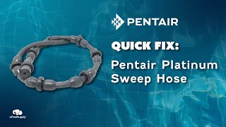 Pentair Kreepy Krauly Platinum Sweep Hose  Quick Fix [upl. by Clarinda]