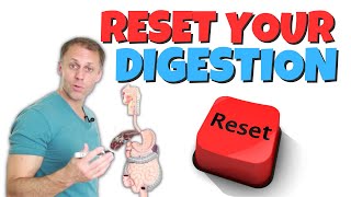 Full Digestive Reset [upl. by Sharity491]