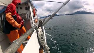 Fishing Alaska 2012 Part 2 [upl. by Lolande]