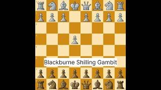 Blackburne Shilling Gambit chess gambit trap Blackburne [upl. by Hobard900]