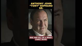 TONY SOPRANO  Life amp Legacy of this Dimeo Family Boss sopranos [upl. by Elacim]