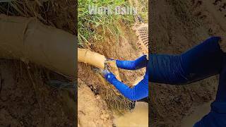 Clearing Blocked Drainage Pipes Unclogging Methods That Work shorts unclog satisfying viralvideo [upl. by Htelimay]