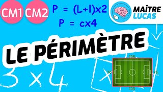 Le périmètre CM1  CM2  Cycle 3  Grandeurs et mesures  Maths [upl. by Iveksarap]