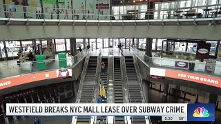 Westfield mall seeks to end World Trade Center lease over homelessness and crime  NBC New York [upl. by Akeenat516]