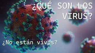 Los virus qué son ciclo de replicación y clasificación  Deinospalaios [upl. by Christianity]