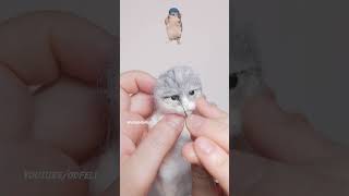 Dancing cat meme fatcat dancingcat needlefelting [upl. by Yesllek634]