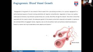 Angiogenesis [upl. by Vierno]