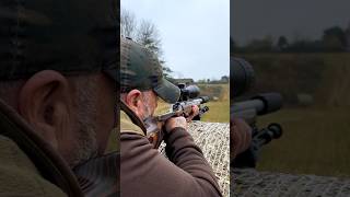 The Silent Assassin Testing 22LR Subsonic Ammo [upl. by Allebram865]