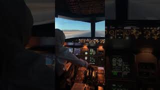 A320 flight sim [upl. by Walls]